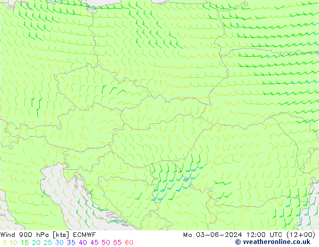 Wind 900 hPa ECMWF Mo 03.06.2024 12 UTC