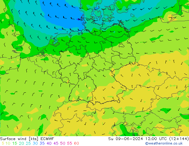 Viento 10 m ECMWF dom 09.06.2024 12 UTC