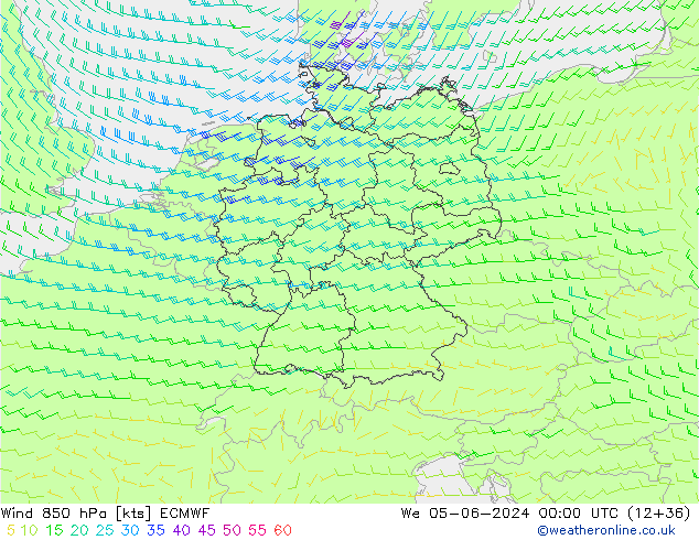 Wind 850 hPa ECMWF wo 05.06.2024 00 UTC