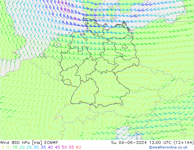 Viento 850 hPa ECMWF dom 09.06.2024 12 UTC