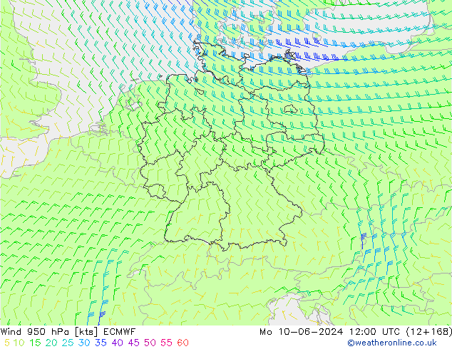 Rüzgar 950 hPa ECMWF Pzt 10.06.2024 12 UTC