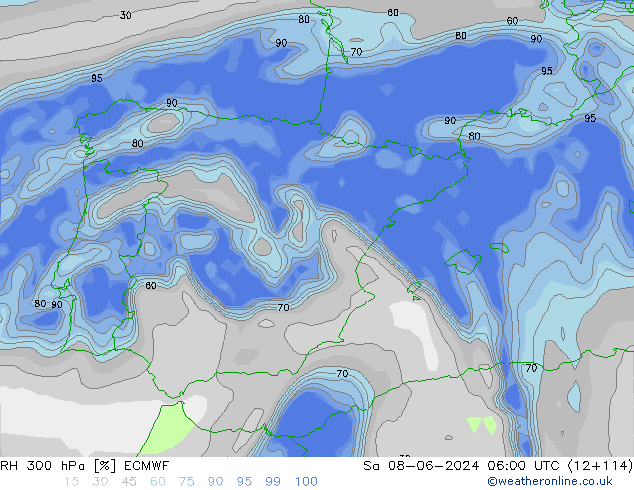 RH 300 hPa ECMWF Sa 08.06.2024 06 UTC