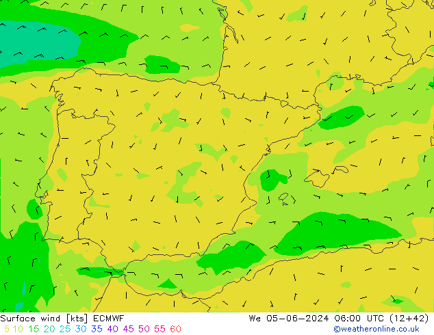 ветер 10 m ECMWF ср 05.06.2024 06 UTC