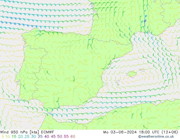 ветер 950 гПа ECMWF пн 03.06.2024 18 UTC