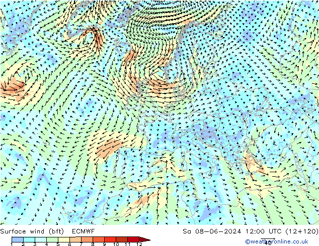 Bodenwind (bft) ECMWF Sa 08.06.2024 12 UTC