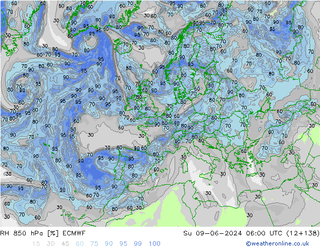 850 hPa Nispi Nem ECMWF Paz 09.06.2024 06 UTC