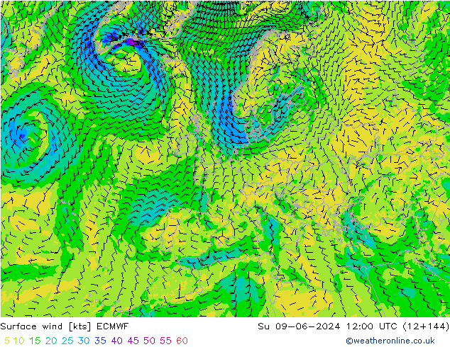 Surface wind ECMWF Su 09.06.2024 12 UTC