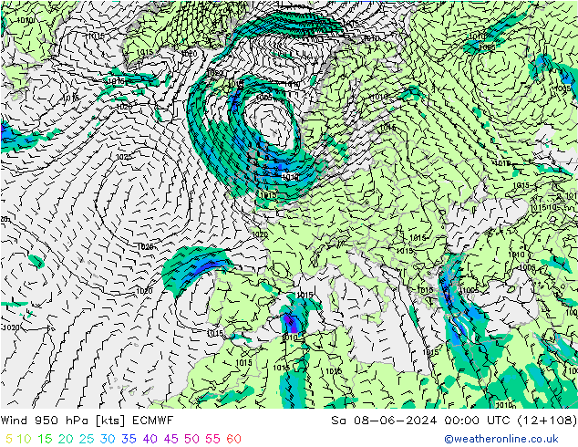 Wind 950 hPa ECMWF Sa 08.06.2024 00 UTC