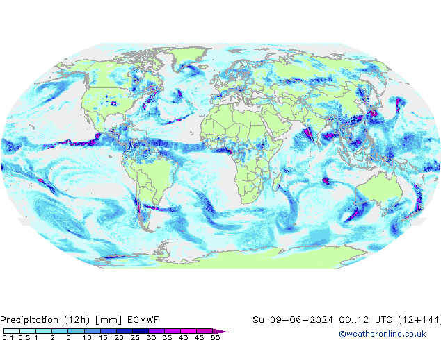 Totale neerslag (12h) ECMWF zo 09.06.2024 12 UTC