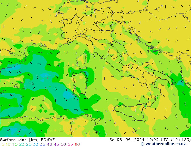 Surface wind ECMWF Sa 08.06.2024 12 UTC