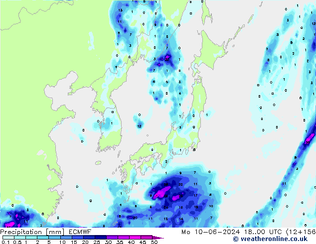 Precipitation ECMWF Mo 10.06.2024 00 UTC