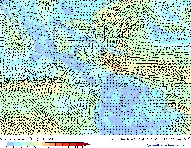 Vento 10 m (bft) ECMWF sab 08.06.2024 12 UTC