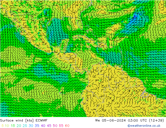 Rüzgar 10 m ECMWF Çar 05.06.2024 03 UTC