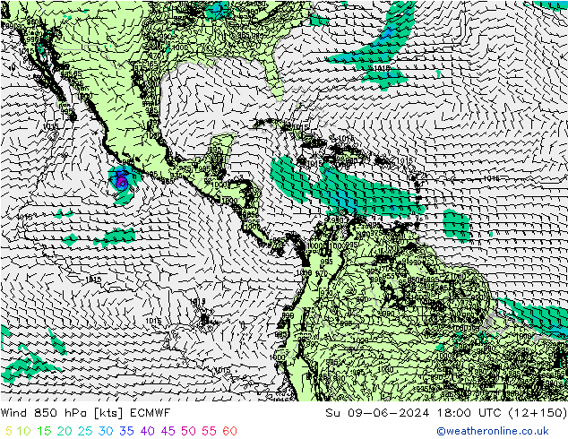 ветер 850 гПа ECMWF Вс 09.06.2024 18 UTC