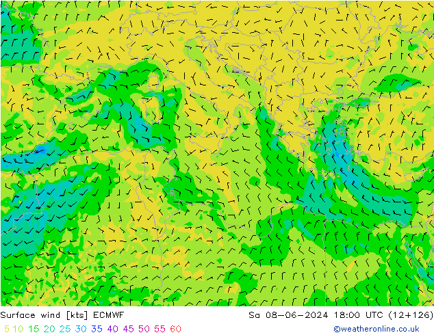 Viento 10 m ECMWF sáb 08.06.2024 18 UTC