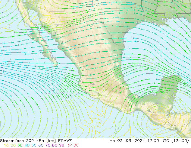 Linia prądu 300 hPa ECMWF pon. 03.06.2024 12 UTC