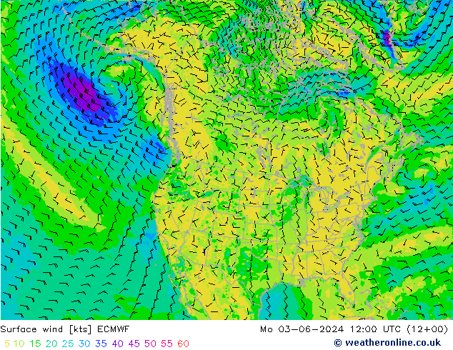 Surface wind ECMWF Mo 03.06.2024 12 UTC