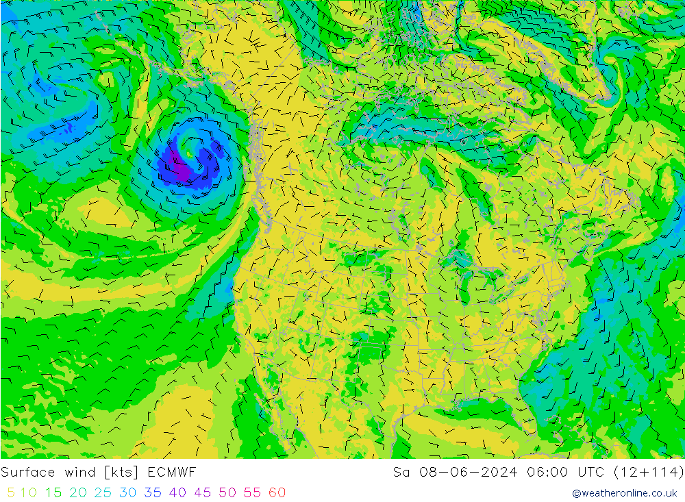 Surface wind ECMWF Sa 08.06.2024 06 UTC