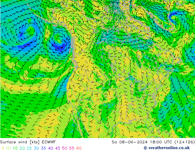 Surface wind ECMWF Sa 08.06.2024 18 UTC