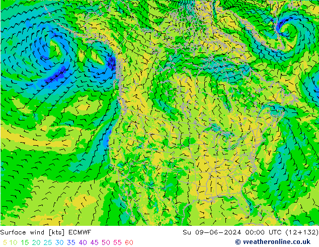 Wind 10 m ECMWF zo 09.06.2024 00 UTC