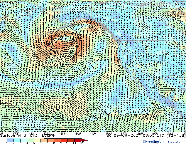 ве�Bе�@ 10 m (bft) ECMWF Вс 09.06.2024 06 UTC