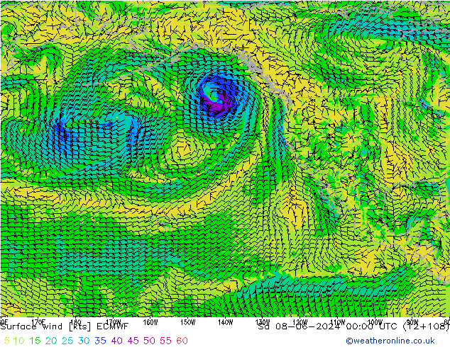 Viento 10 m ECMWF sáb 08.06.2024 00 UTC