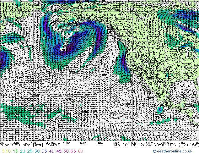 Prec 6h/Wind 10m/950 ECMWF Mo 10.06.2024 00 UTC