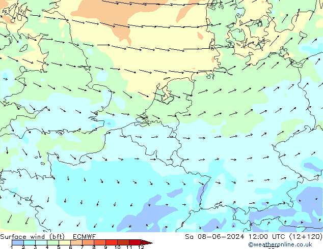 Surface wind (bft) ECMWF Sa 08.06.2024 12 UTC