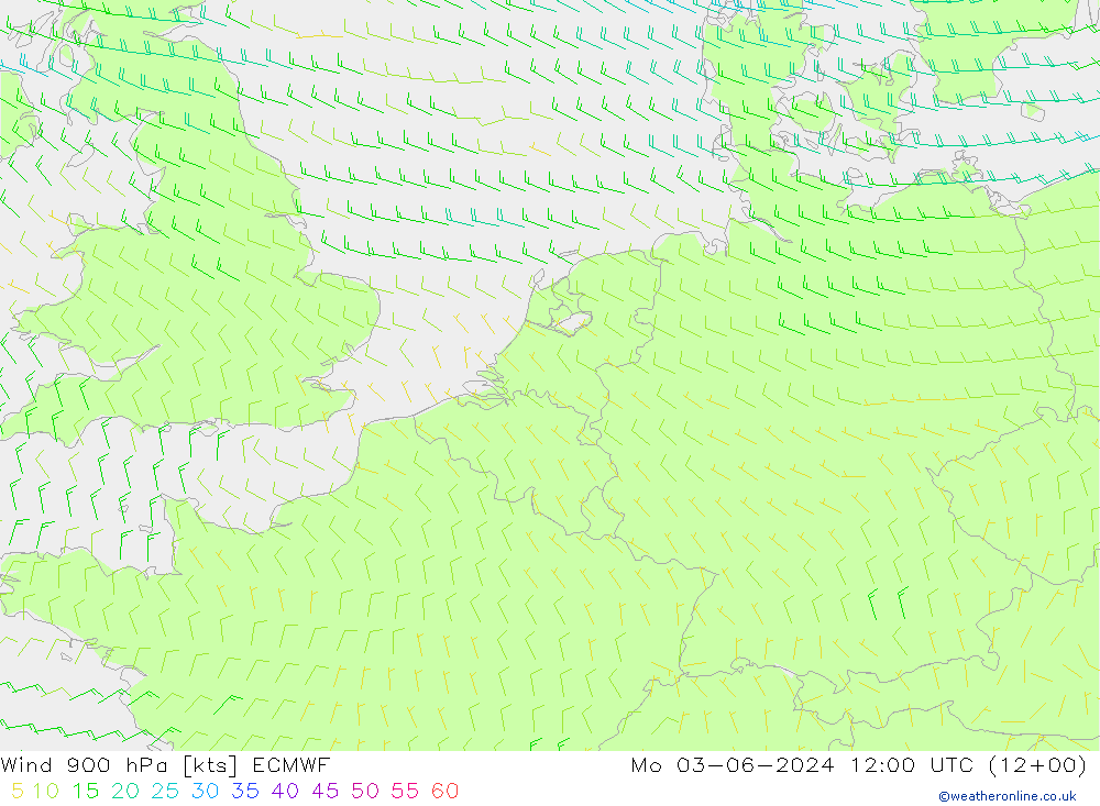 Vento 900 hPa ECMWF lun 03.06.2024 12 UTC