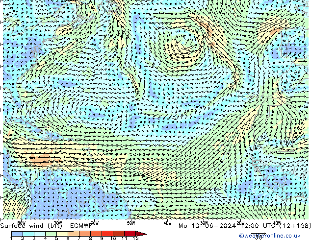 Vento 10 m (bft) ECMWF lun 10.06.2024 12 UTC