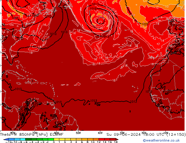 Theta-W 850hPa ECMWF  09.06.2024 18 UTC