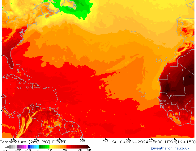     ECMWF  09.06.2024 18 UTC