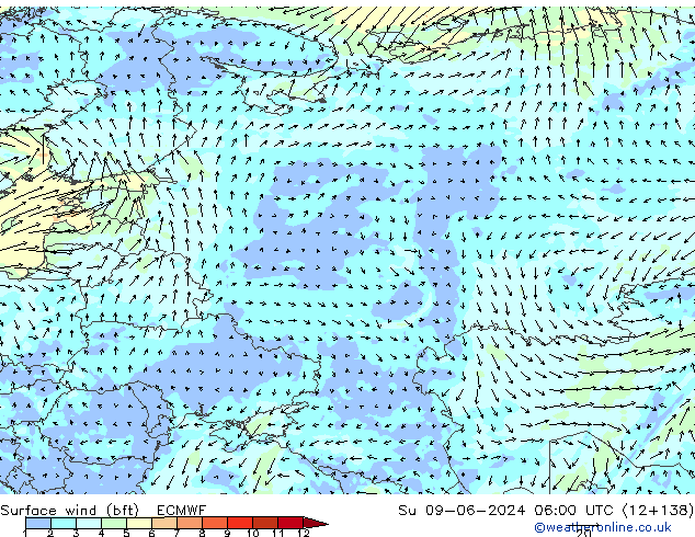 Surface wind (bft) ECMWF Ne 09.06.2024 06 UTC