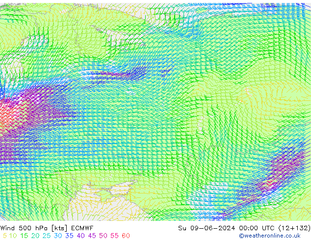 Viento 500 hPa ECMWF dom 09.06.2024 00 UTC