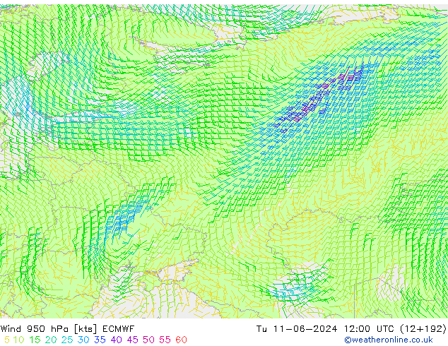 Wind 950 hPa ECMWF Út 11.06.2024 12 UTC