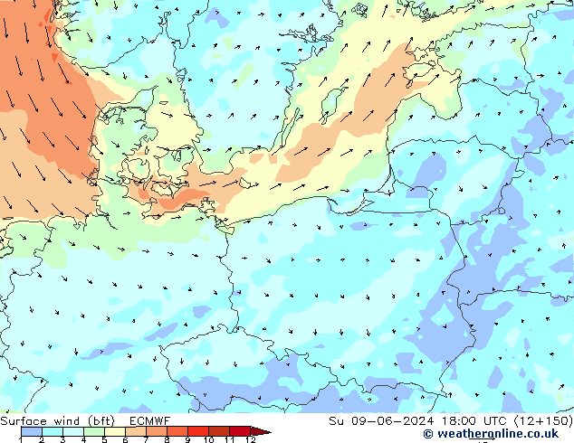 Vento 10 m (bft) ECMWF Dom 09.06.2024 18 UTC