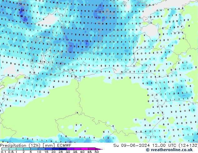 Precipitation (12h) ECMWF Su 09.06.2024 00 UTC