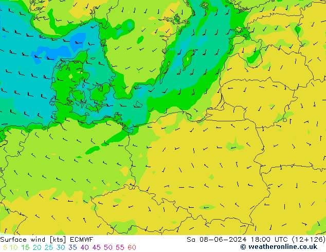 wiatr 10 m ECMWF so. 08.06.2024 18 UTC