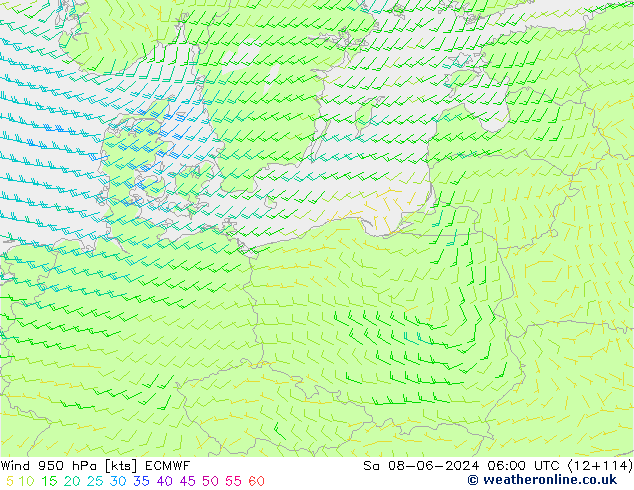 Wind 950 hPa ECMWF Sa 08.06.2024 06 UTC