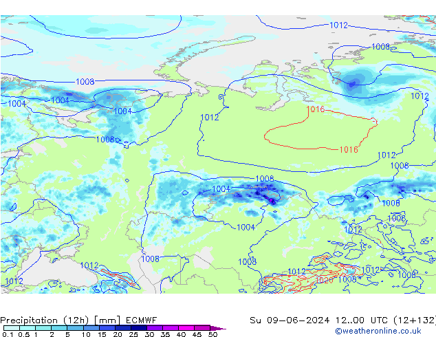 Precipitación (12h) ECMWF dom 09.06.2024 00 UTC