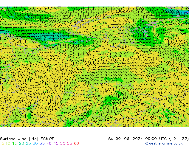 ветер 10 m ECMWF Вс 09.06.2024 00 UTC