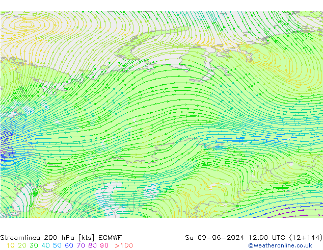 Linha de corrente 200 hPa ECMWF Dom 09.06.2024 12 UTC