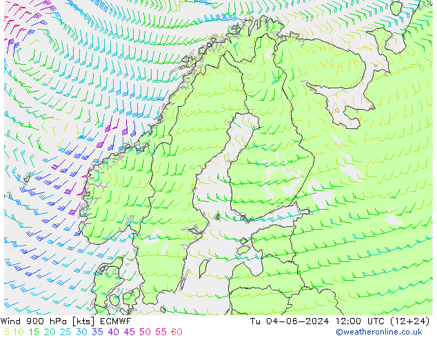 风 900 hPa ECMWF 星期二 04.06.2024 12 UTC