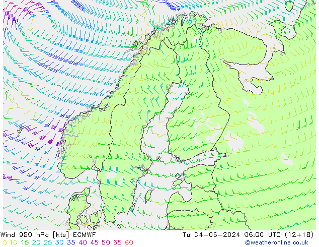 wiatr 950 hPa ECMWF wto. 04.06.2024 06 UTC