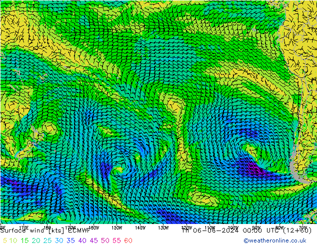 Surface wind ECMWF Th 06.06.2024 00 UTC