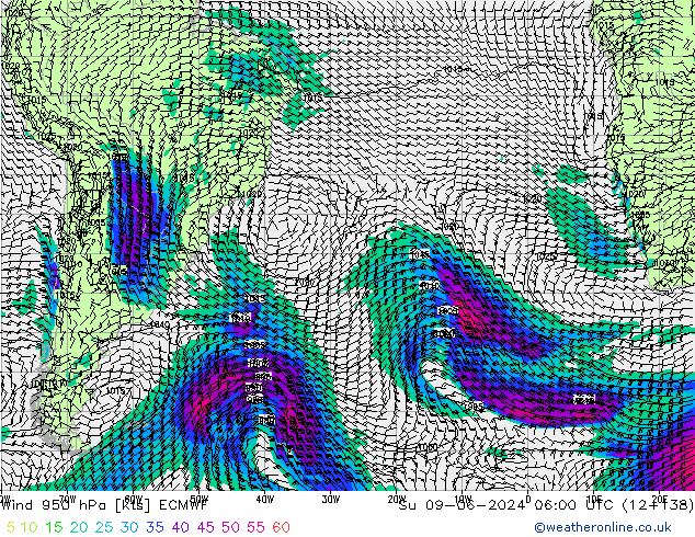 ветер 950 гПа ECMWF Вс 09.06.2024 06 UTC