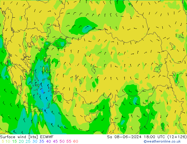 Surface wind ECMWF So 08.06.2024 18 UTC