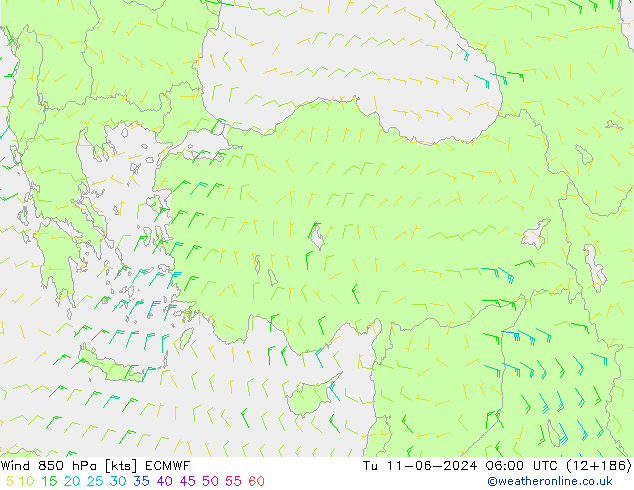 Wind 850 hPa ECMWF Tu 11.06.2024 06 UTC