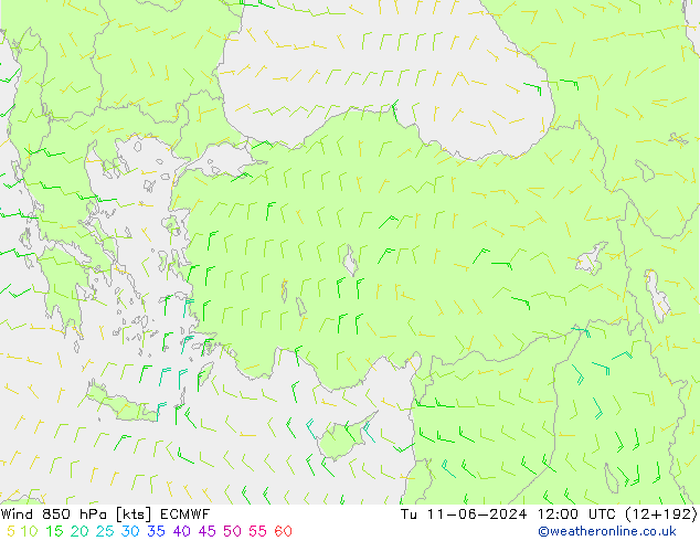 ветер 850 гПа ECMWF вт 11.06.2024 12 UTC