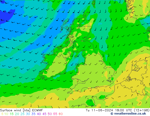 Surface wind ECMWF Tu 11.06.2024 18 UTC